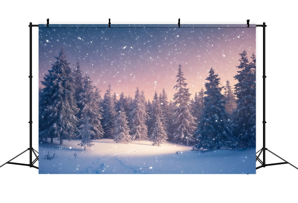 Fond De Sapins De Noël Forêt Hivernale Crépuscule RR610-92