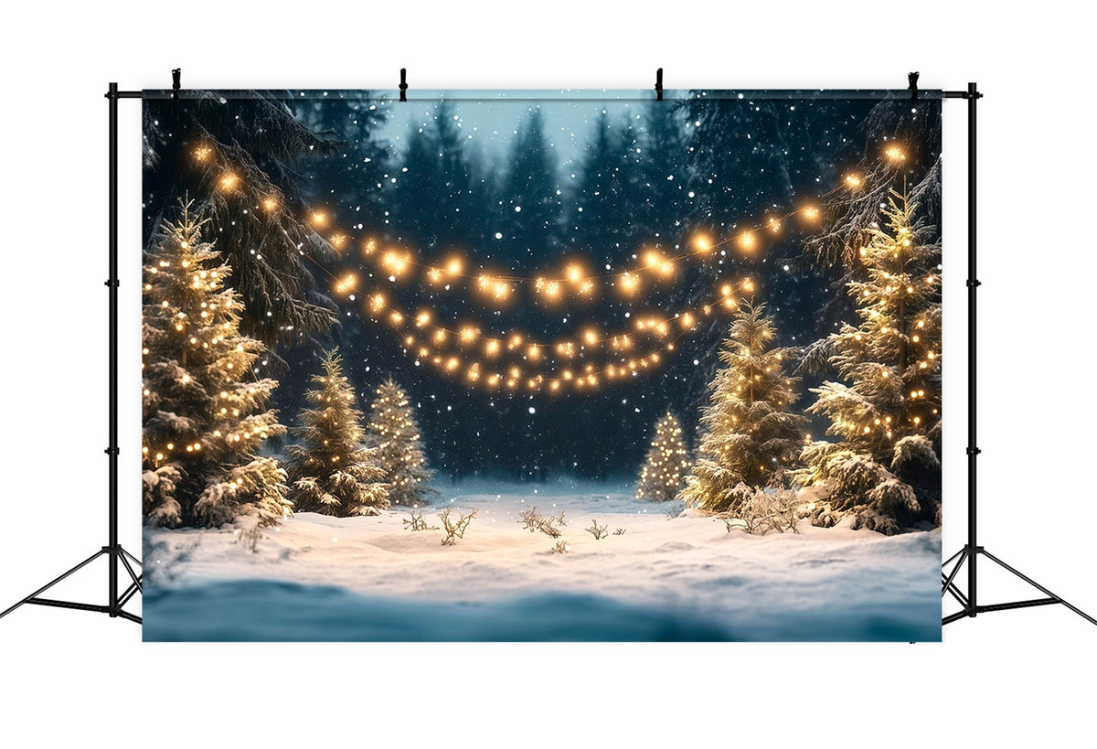 Fond Photo Ferme De Sapins Forêt Enneigée Lumières Dorées RR610-96