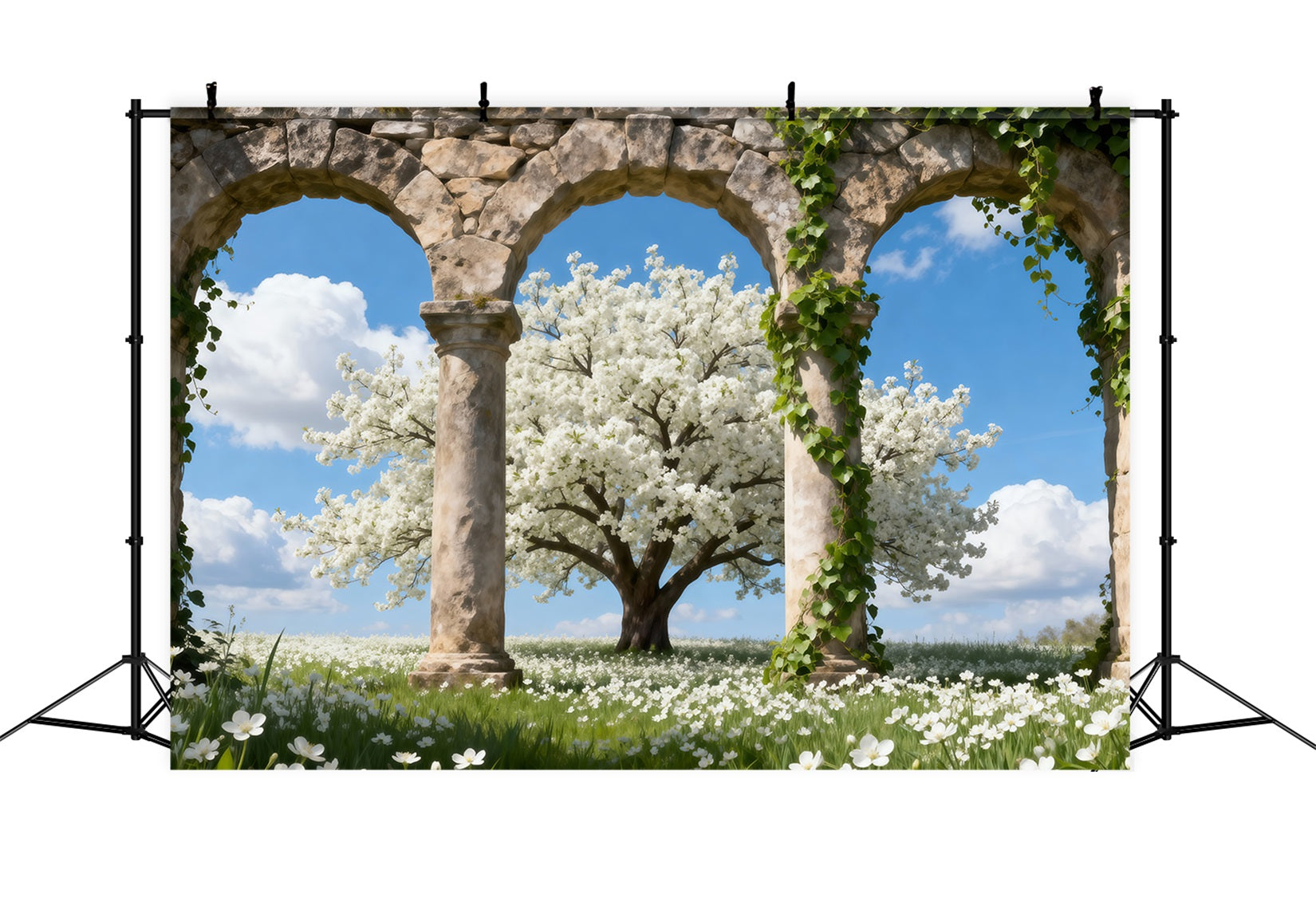 Fond Photo Cerisier en Fleurs Triple Arche Pierre Nuages RR62-49