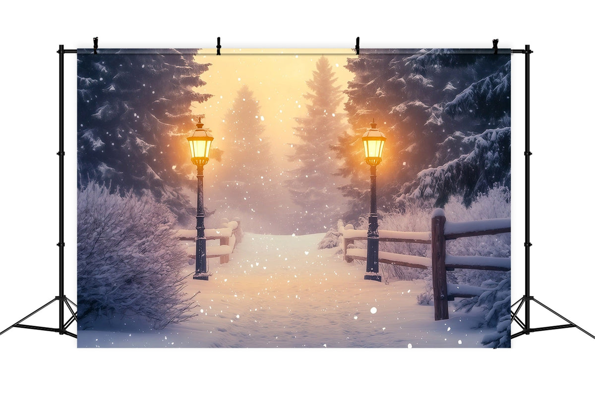 Décor De Noël Enneigé Chemin Des Lanternes De La Forêt Du Pays Des Merveilles Décors De Studio De Noël RR68-85