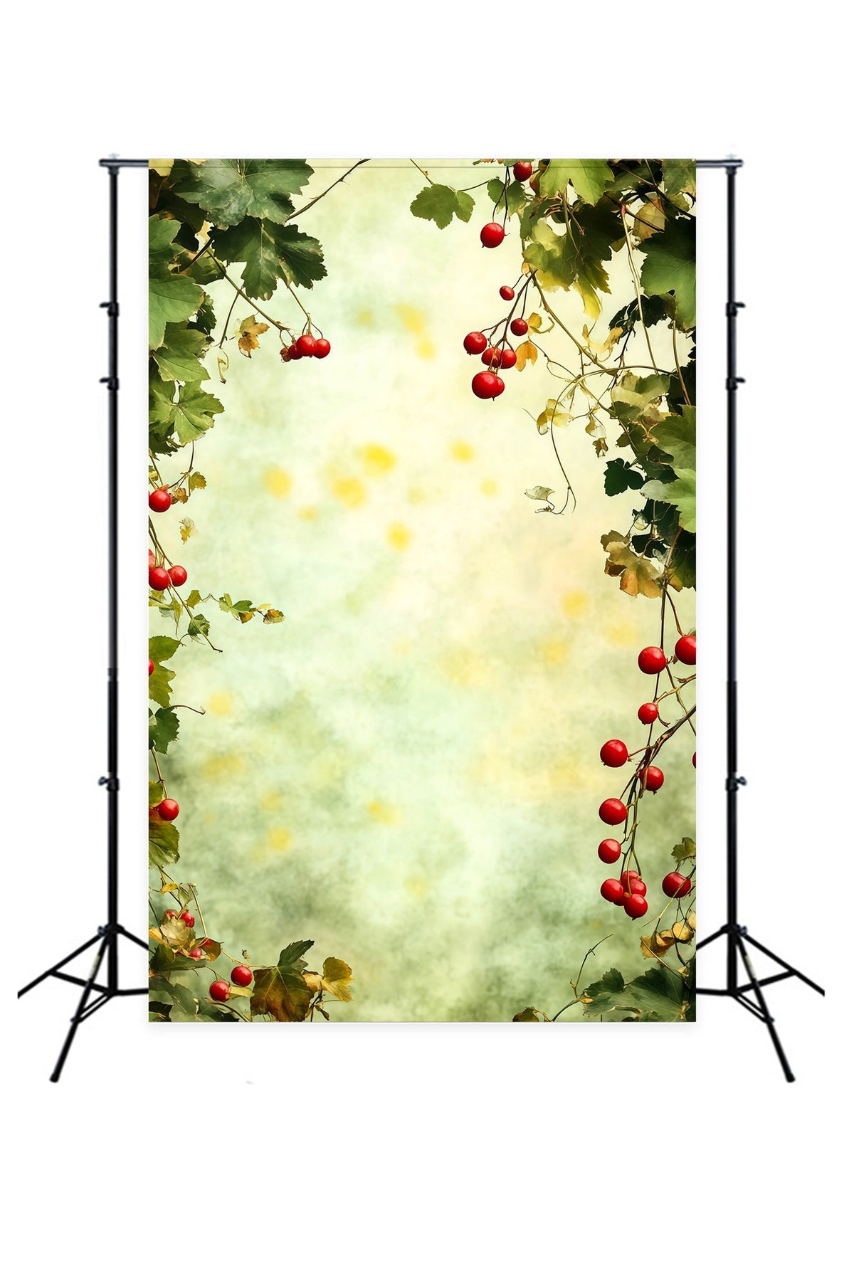 Décor De Verdure De Noël Cadre De Feuilles Vertes De Baies Fond Photo De Noël RR69-20