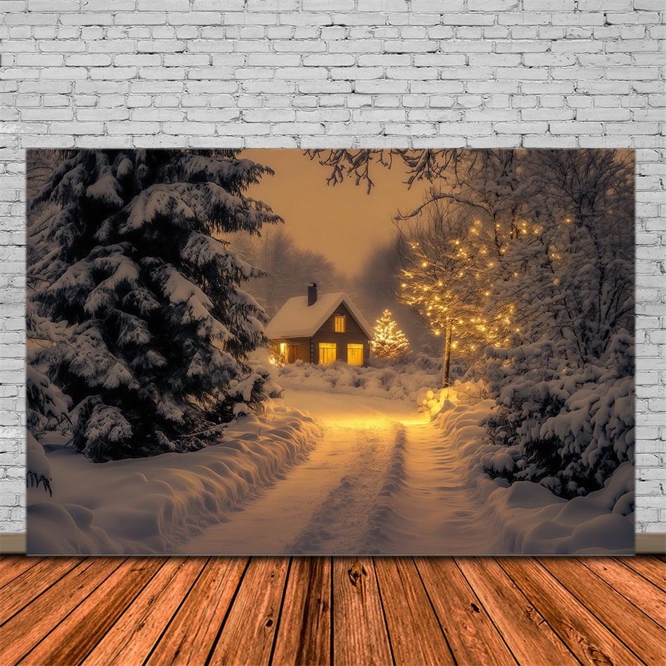 Décor De Noël D'Hiver Chemin Du Chalet Dans La Forêt Enneigée Fond Photo De Noël RR69-43