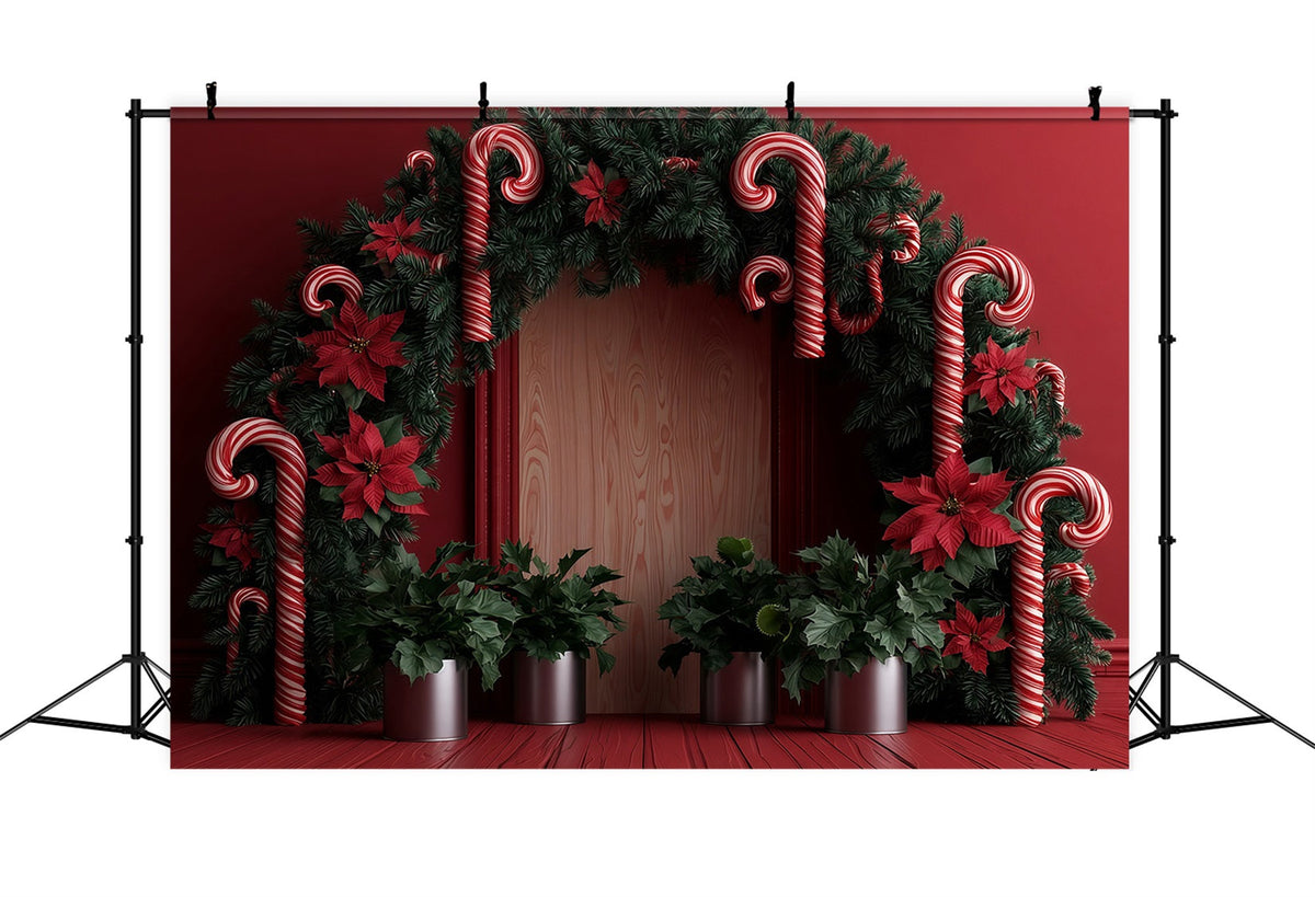 Décor De Noël En Forme De Canne À Sucre Arche De Guirlande De Poinsettias Décors De Studio De Noël RR69-79