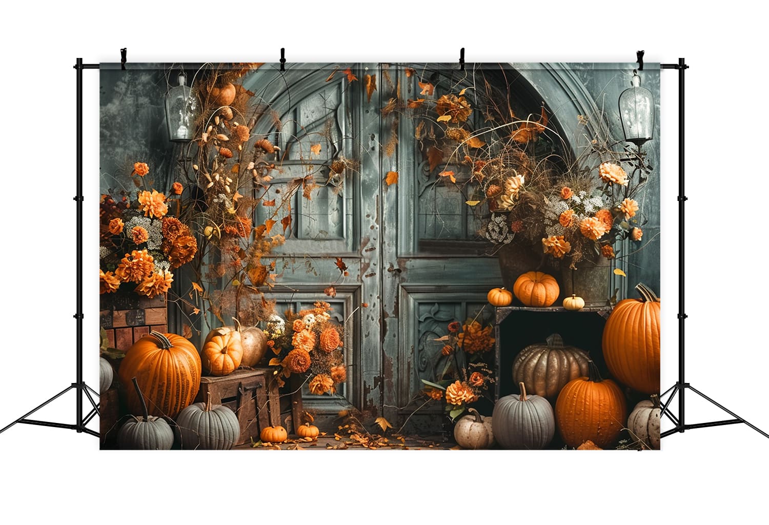 Toile de Fond de Photographie de Porte Vintage avec Citrouilles d'Automne RR7-149