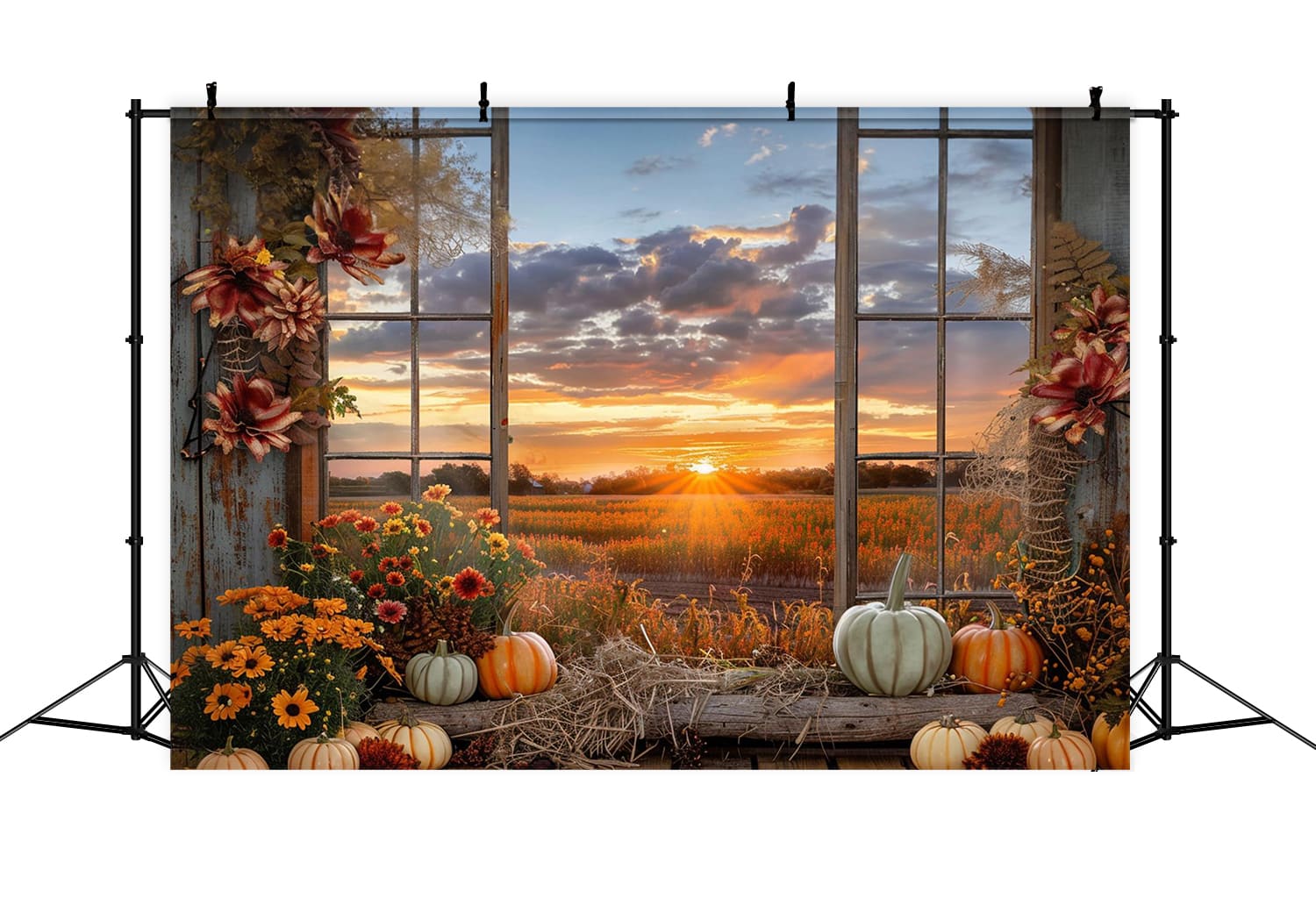 Toile de Fond de Paysage de Coucher de Soleil avec Citrouilles d'Automne RR7-151