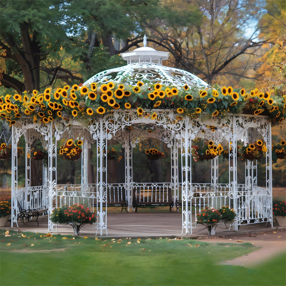 Toile de fond de kiosque orné de tournesols dans un parc d'automne RR7-294