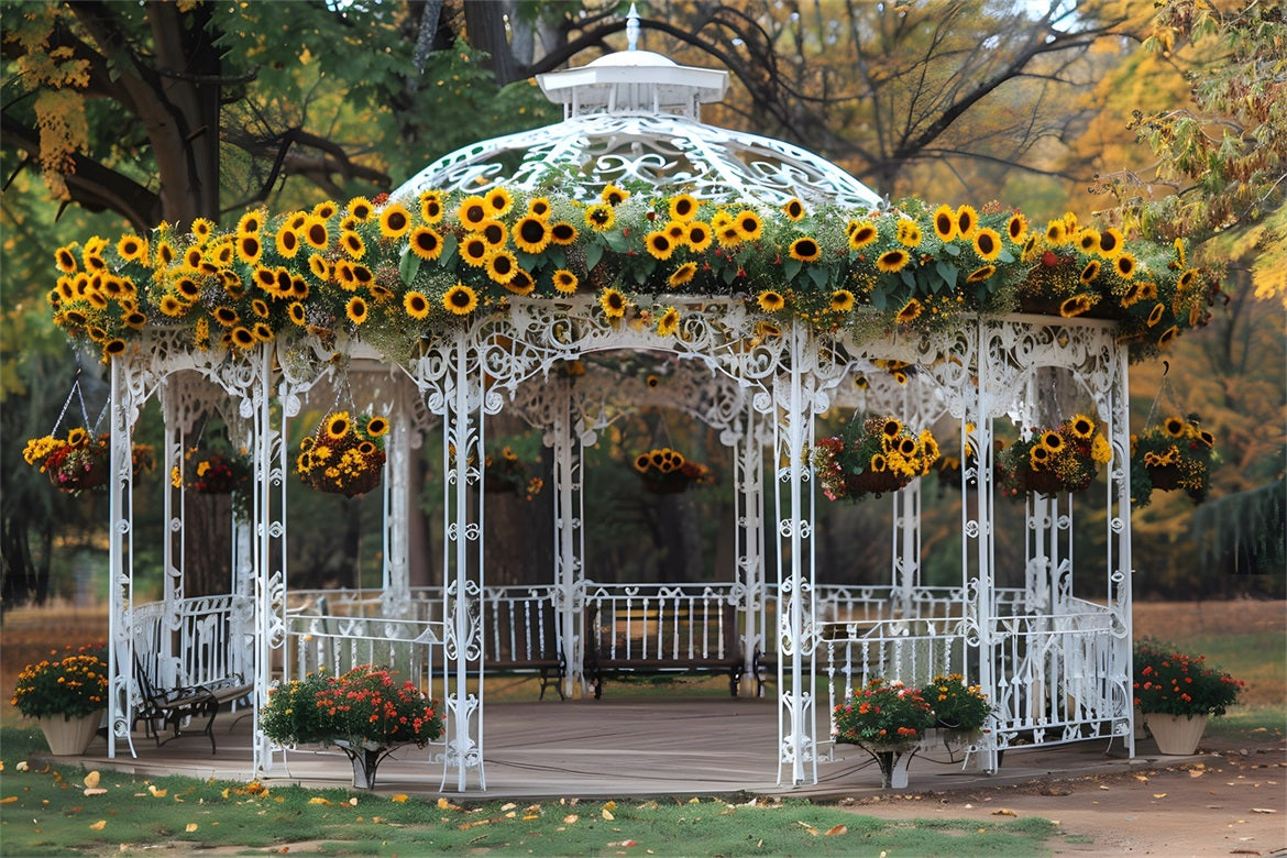 Toile de fond de kiosque orné de tournesols dans un parc d'automne RR7-294