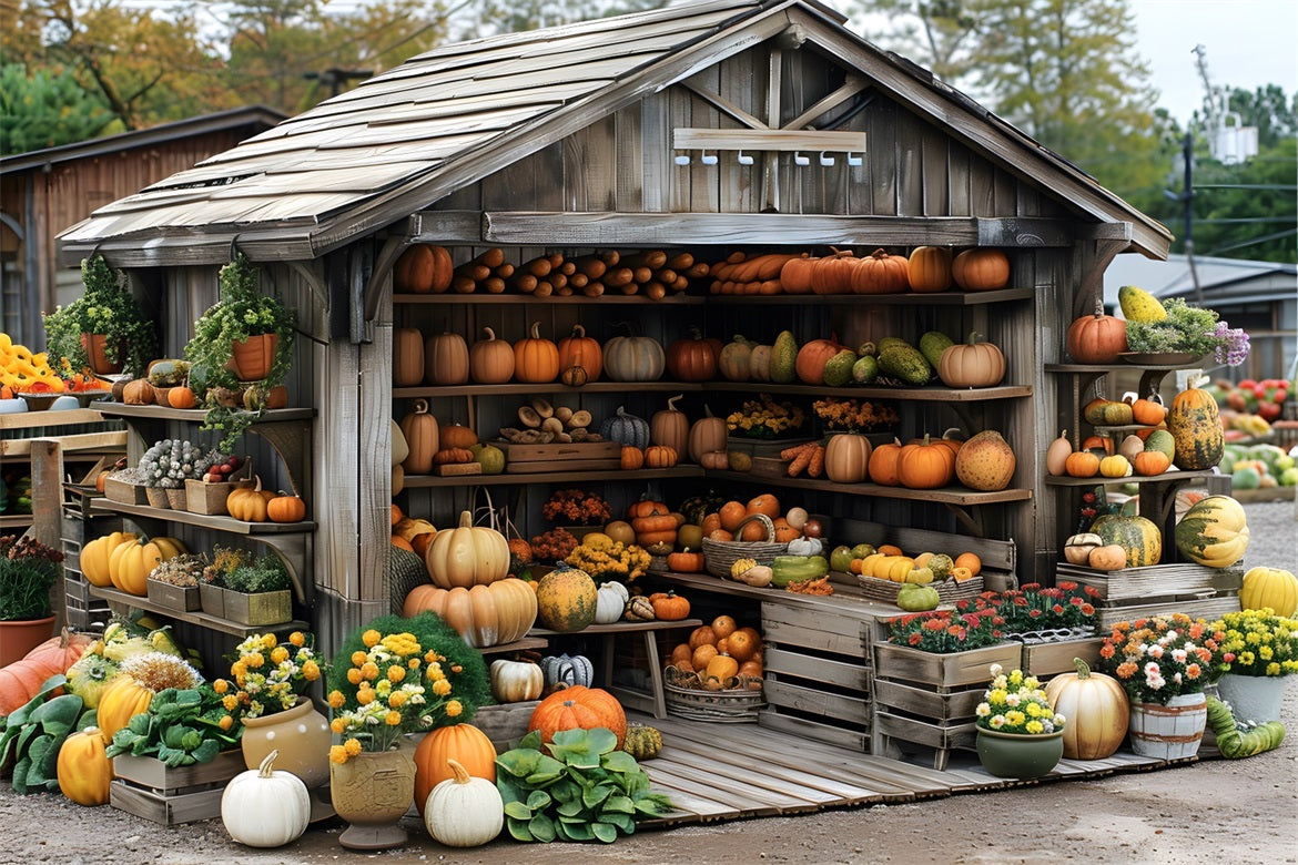 Toile de fond de cabanon de récolte rustique d'automne avec citrouilles RR7-345