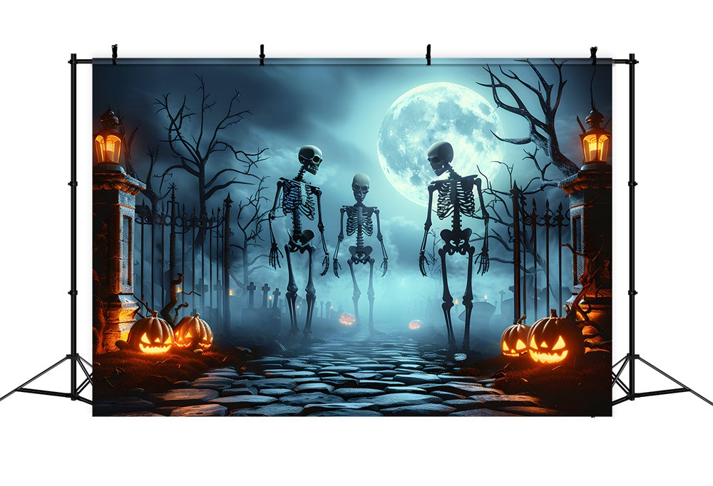 Toile de fond de portail de cimetière effrayant avec squelette Halloween RR7-454