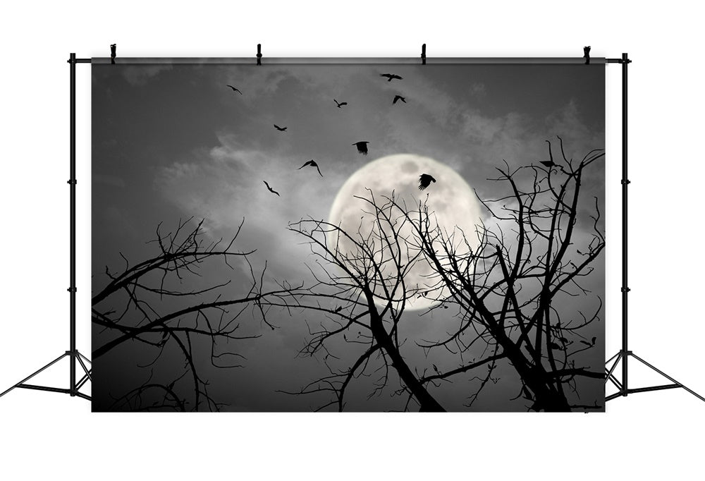 Toile de fond de ciel nocturne avec chauves-souris et lune Halloween RR7-487