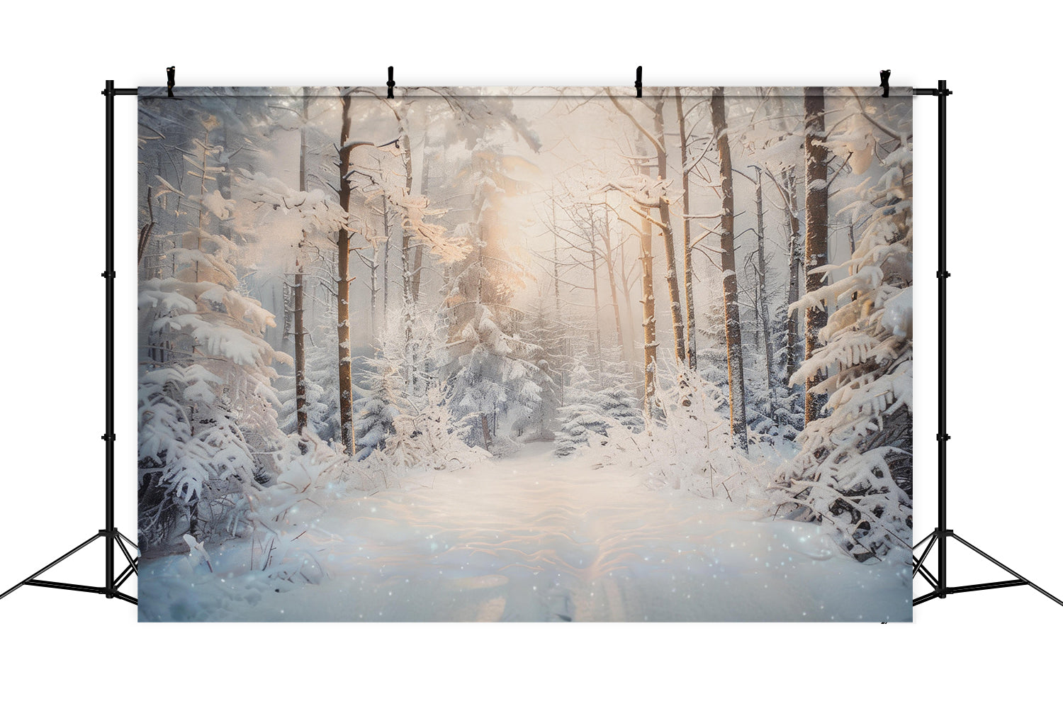 Toile de Fond de Matin Paisible dans une Forêt Enneigée de Noël RR8-156