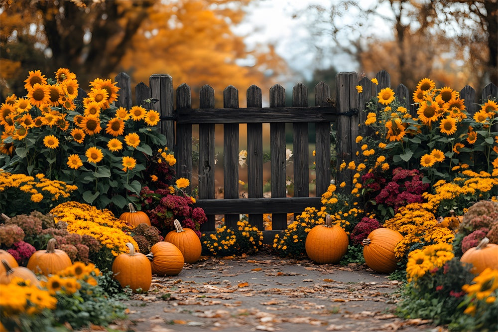 Toile de Fond Jardin d'Automne avec Tournesols et Citrouilles RR8-308