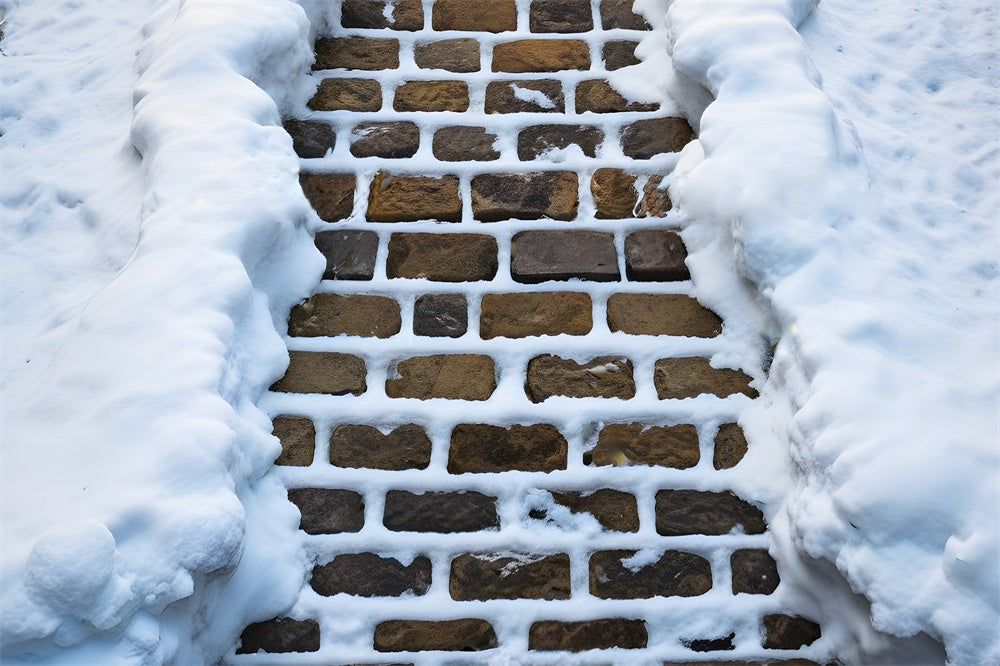 Toile de Fond Sol Sentier de Pierre Couvert de Neige RR8-603