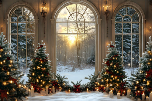 Toile de fond Fenêtre Sapins Forêt Enneigée de Noël RR8-82