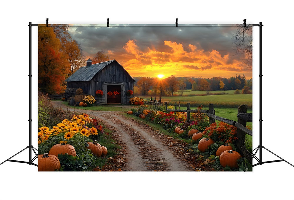 Toile de fond Route de campagne automnale avec citrouilles et coucher de soleil RR9-1