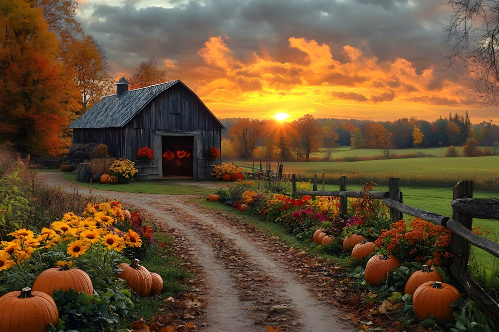 Toile de fond Route de campagne automnale avec citrouilles et coucher de soleil RR9-1