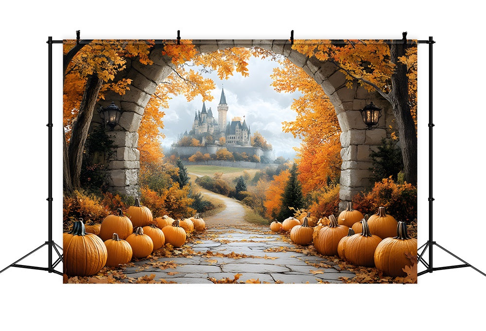 Toile de fond Porte en arche de pierre avec feuilles d'automne et château RR9-31