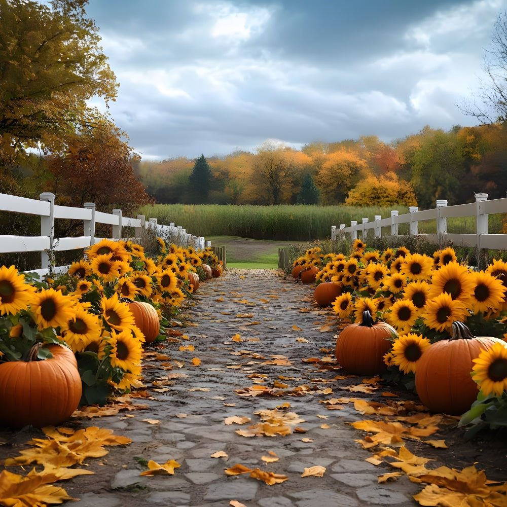 Toile de fond Sentier de tournesols et citrouilles en forêt automnale RR9-38