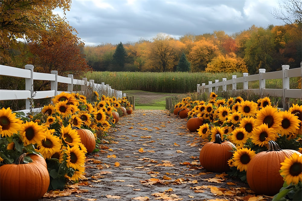 Toile de fond Sentier de tournesols et citrouilles en forêt automnale RR9-38