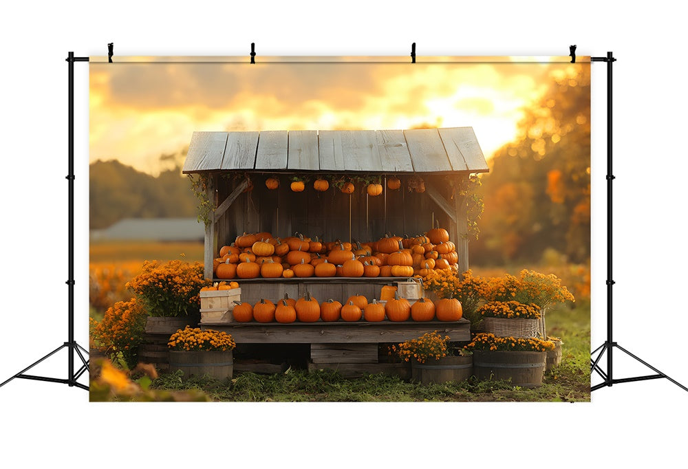 Toile de fond Présentation en Bois avec citrouilles fleurs et coucher de soleil automnal RR9-40