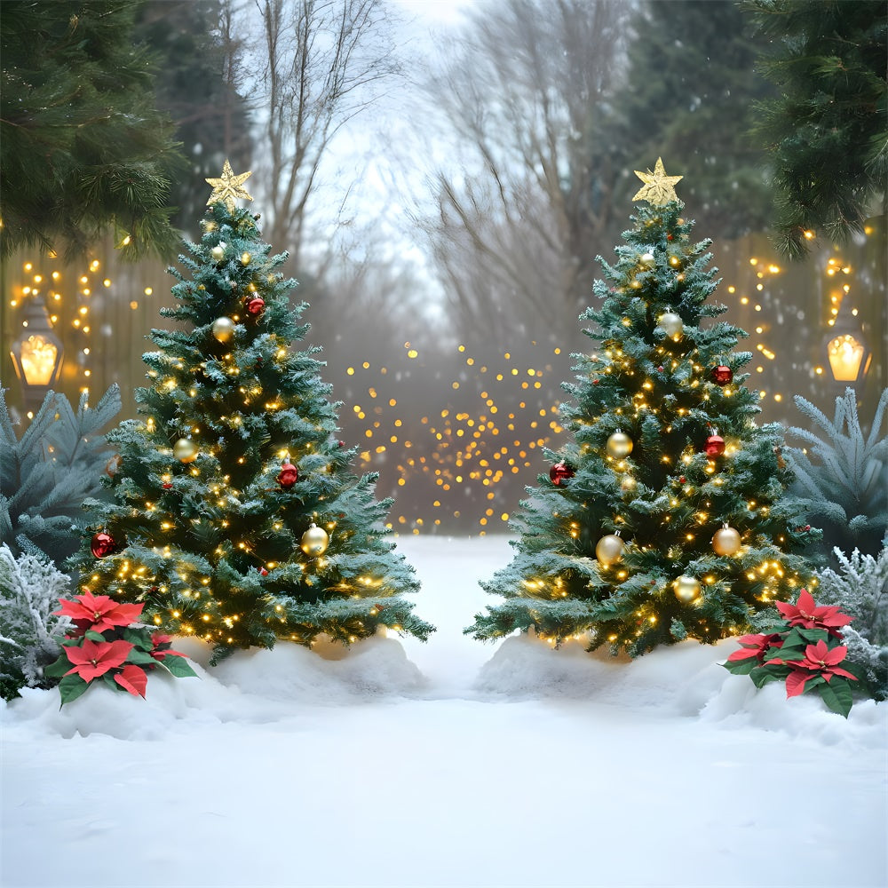 Toile de fond Sapin de Noël lumineux dans paysage enneigé RR9-44