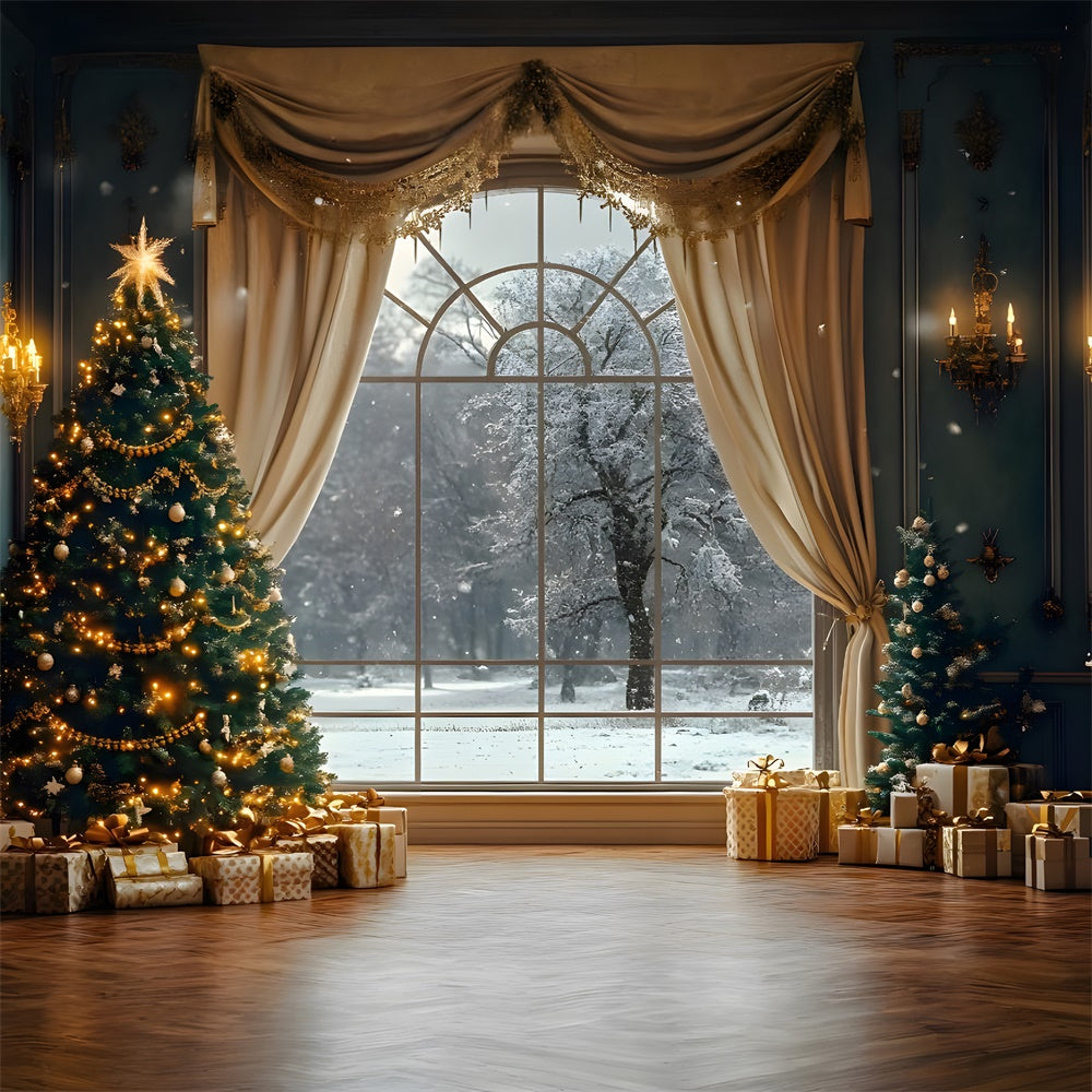 Toile de fond Vue sur fenêtre avec sapins étincelants et neige RR9-65
