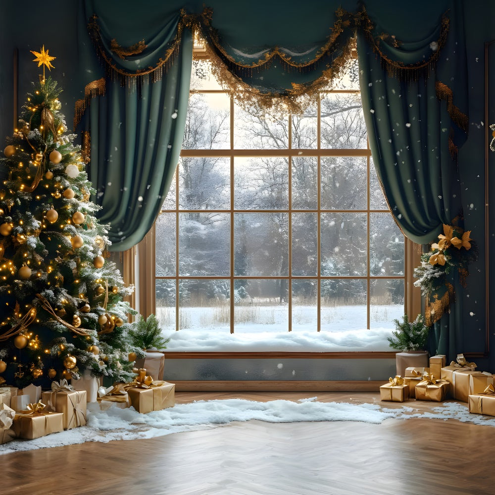 Toile de fond Scène enneigée avec forêt vue depuis fenêtre de Noël RR9-68