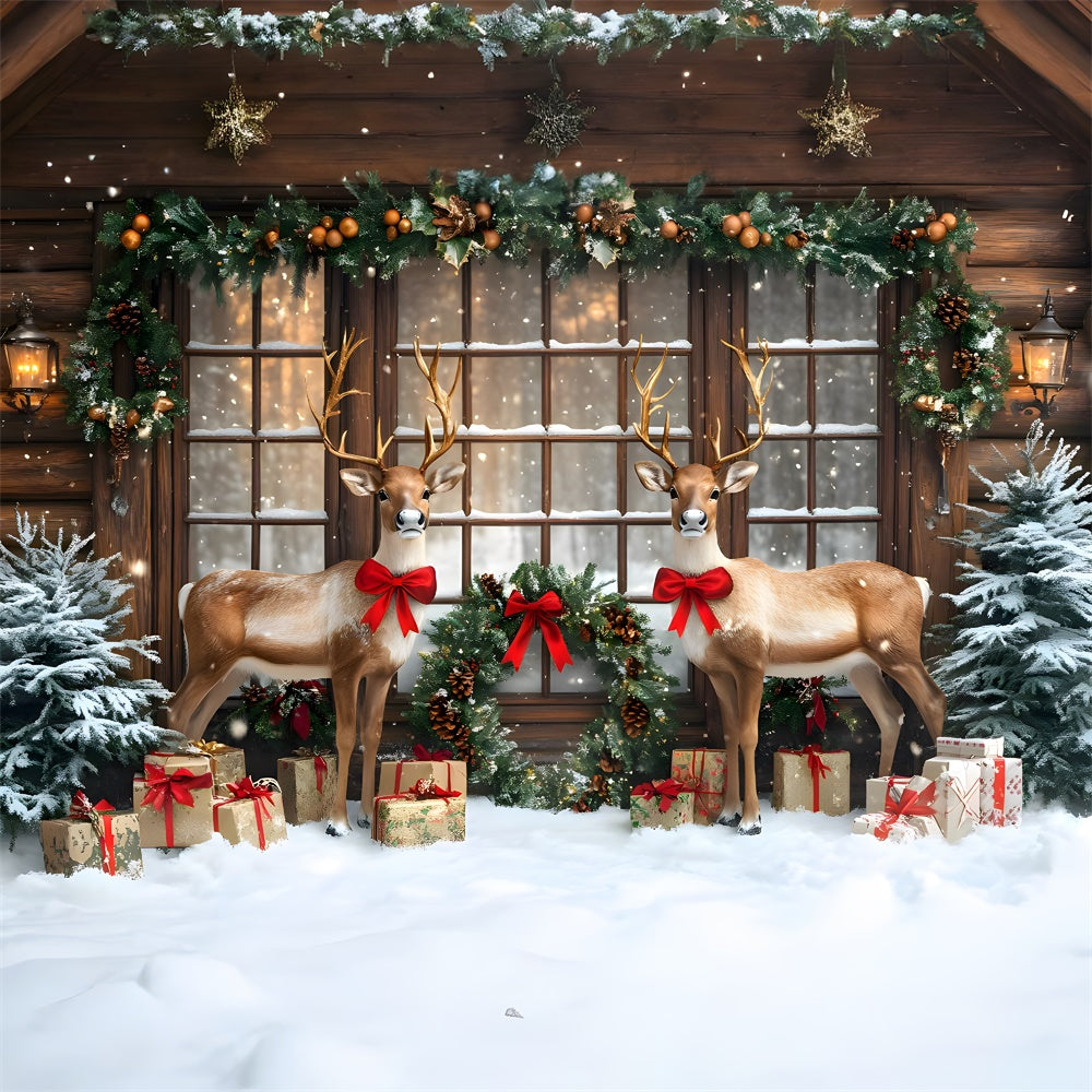 Toile de fond Fenêtre enneigée avec guirlande et renne de Noël RR9-70