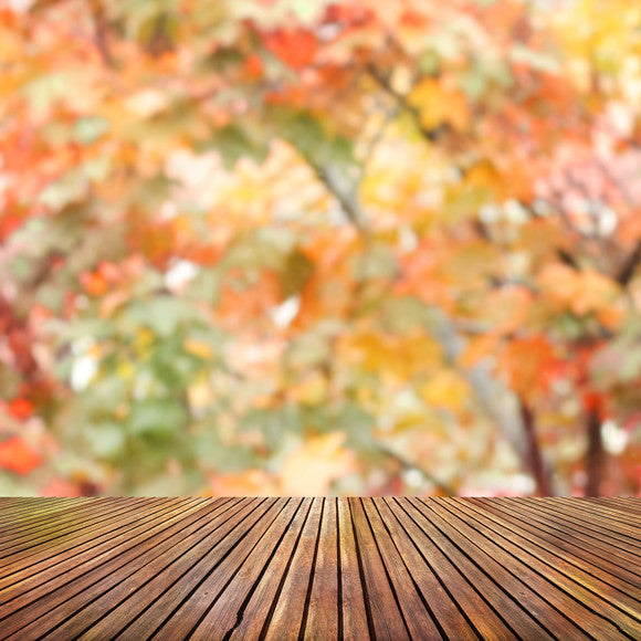 Toile de fond de photographie Bokeh jaune feuille d'érable automne S-3073