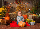 Fond de Photographie de Citrouilles de Foin D'Automne SH-1008