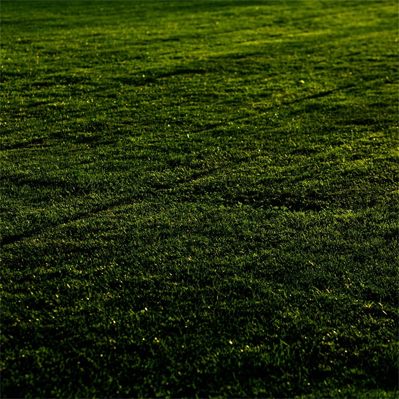 Toile de fond Sol Prairie au Coucher du Soleil TWW57-1