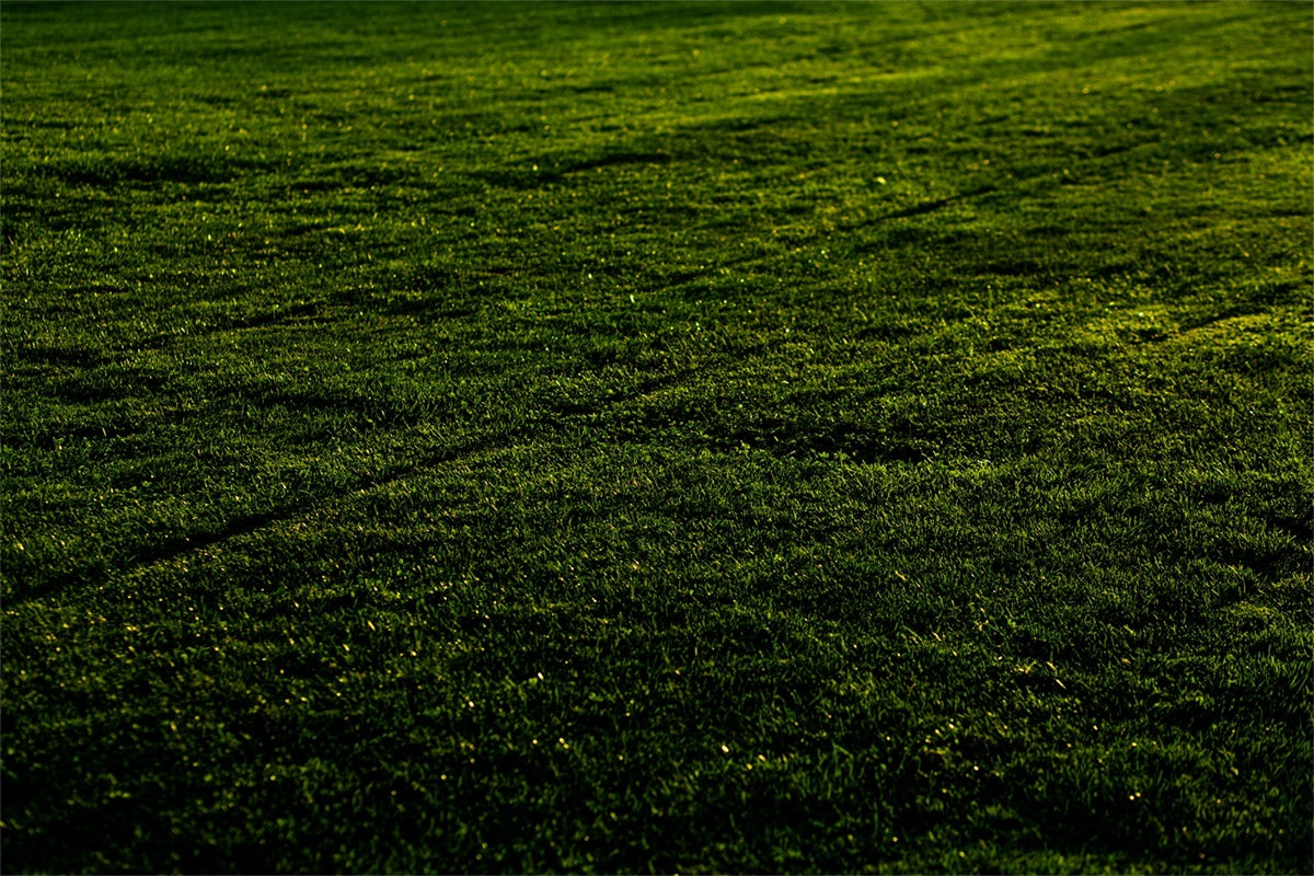 Toile de fond Sol Prairie au Coucher du Soleil TWW57-1