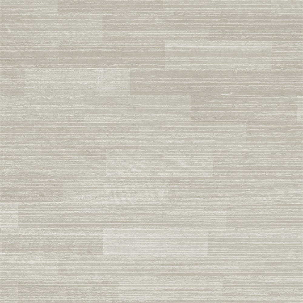 Toile de fond pour Sol Gris Clair Moderne TWW57-16