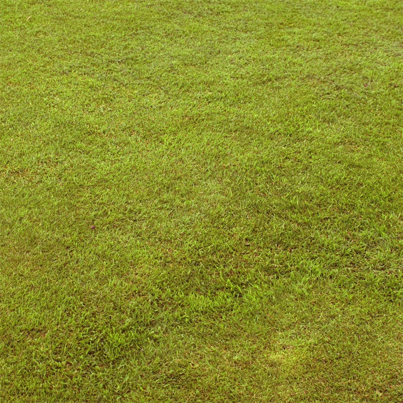 Toile de fond Sol Herbe Vert Pastel TWW57-3