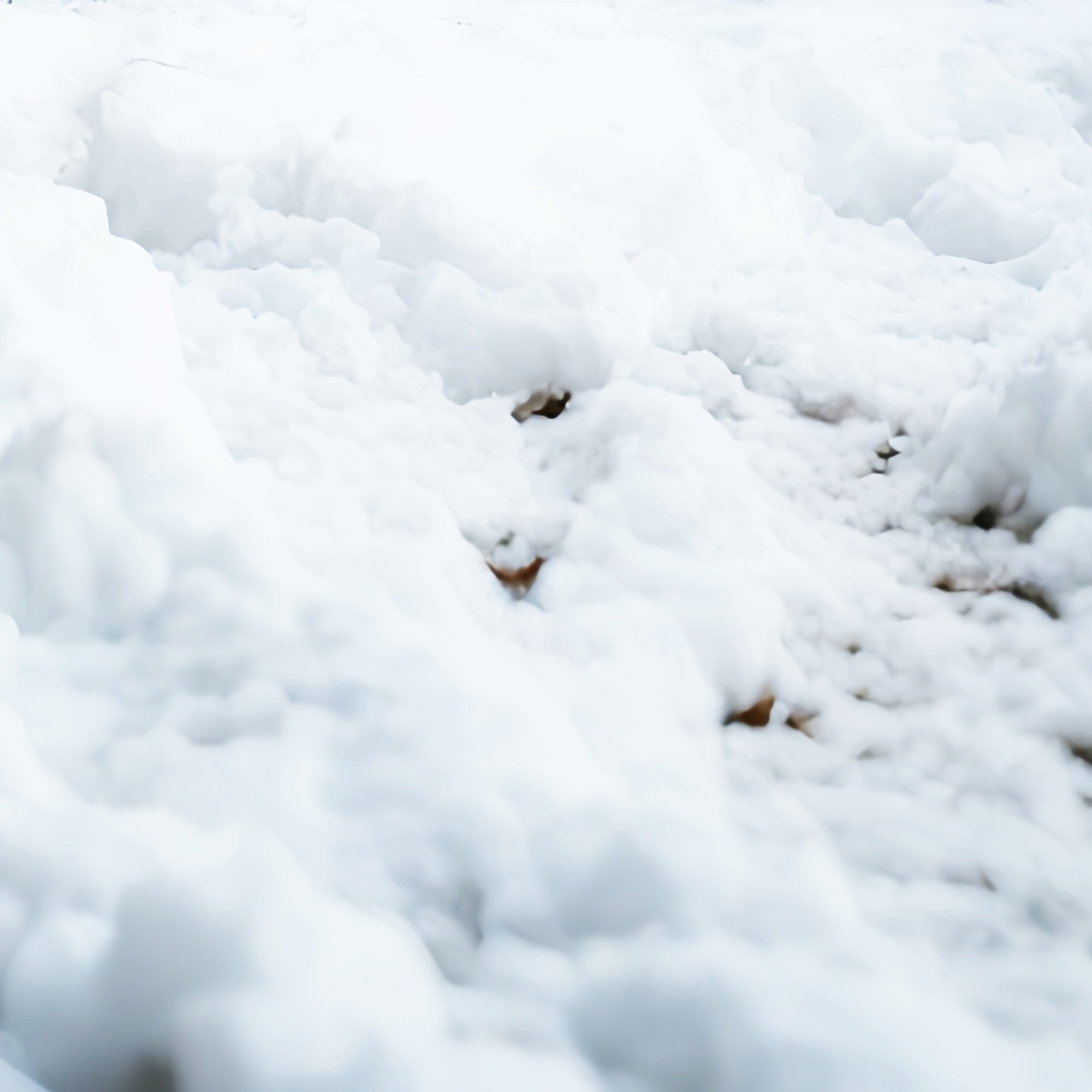 Toile de fond pour Sol Neige Blanche Pure Hiver TWW57-32