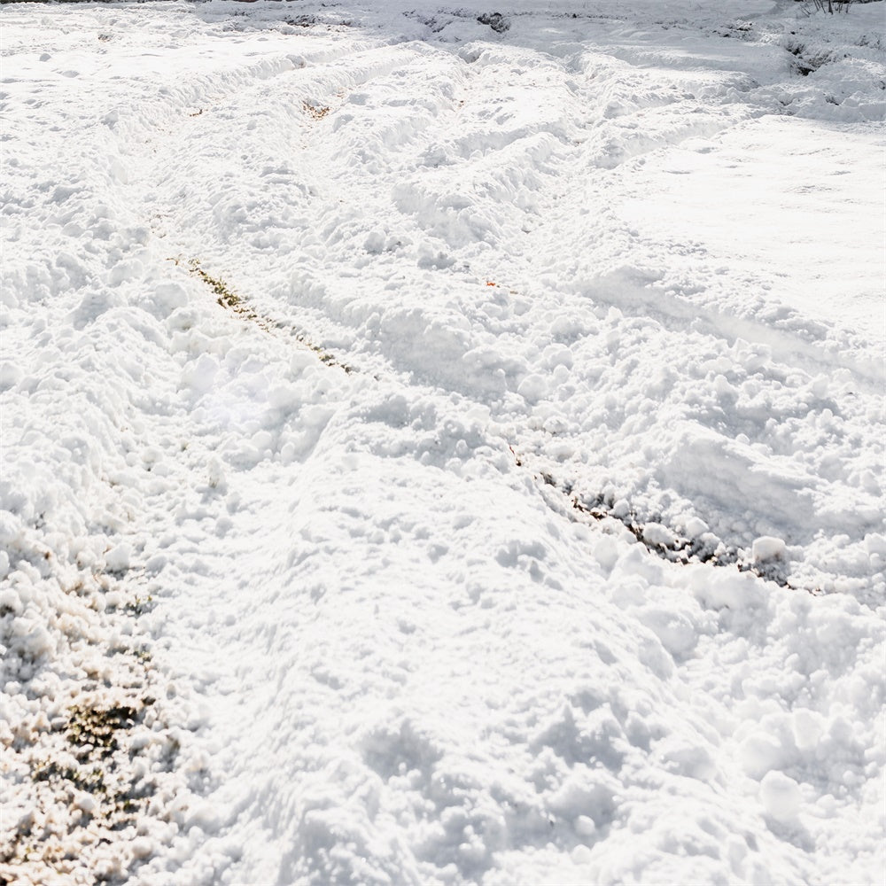 Toile de fond pour Sol Traces de Pneus dans la Neige TWW57-34