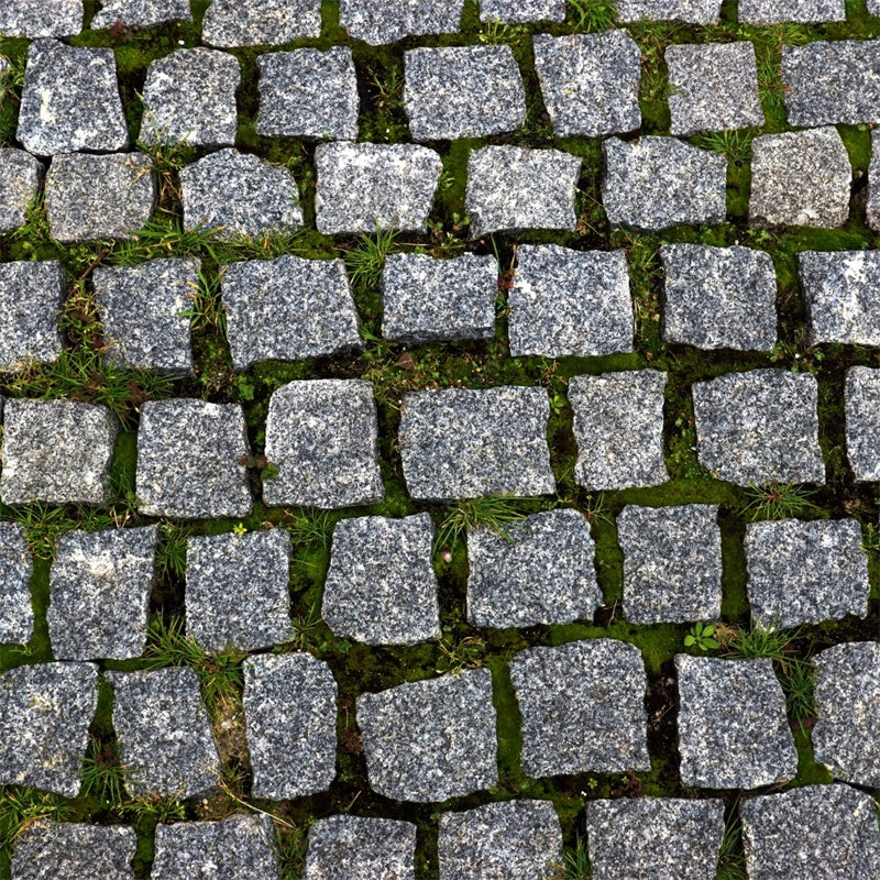 Toile de fond pour Sol Sentier de Pavés Mousseux TWW57-4