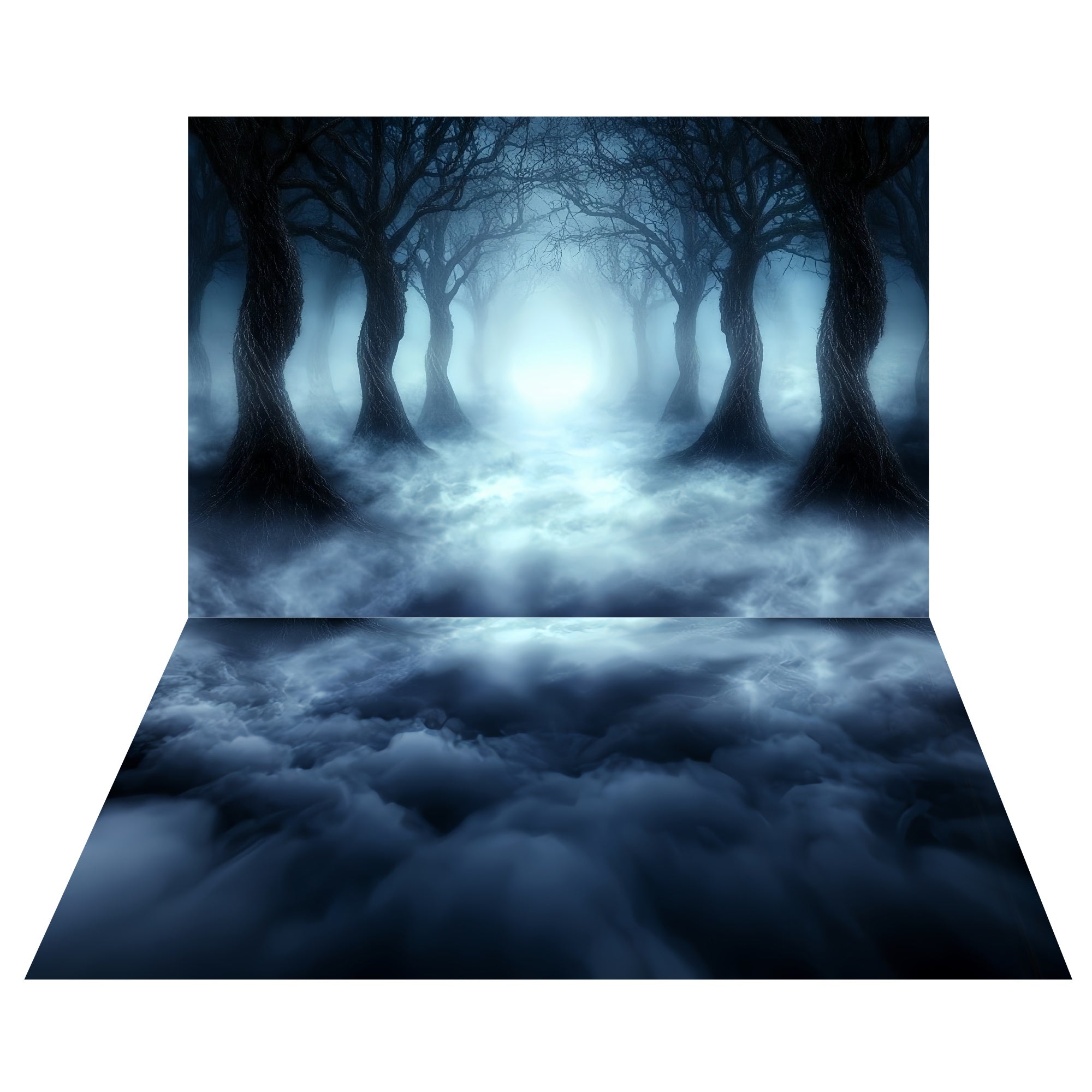 Toile de fond Forêt Brumeuse Lumineuse + Sol Brume Fantomatique TWW57-58