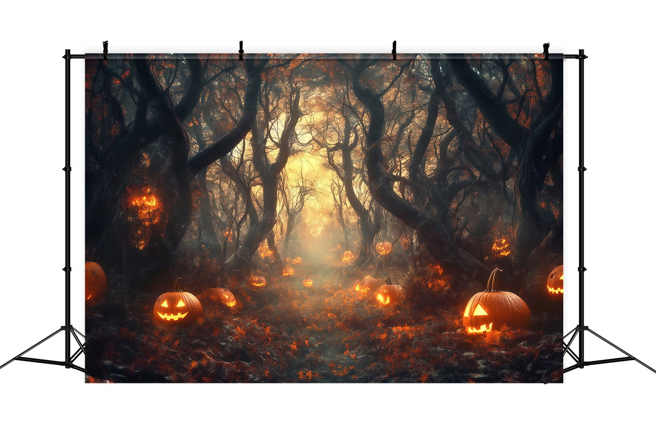 Toile De Fond Photo Halloween Chemin Forêt Citrouilles Illuminées TWW58-33
