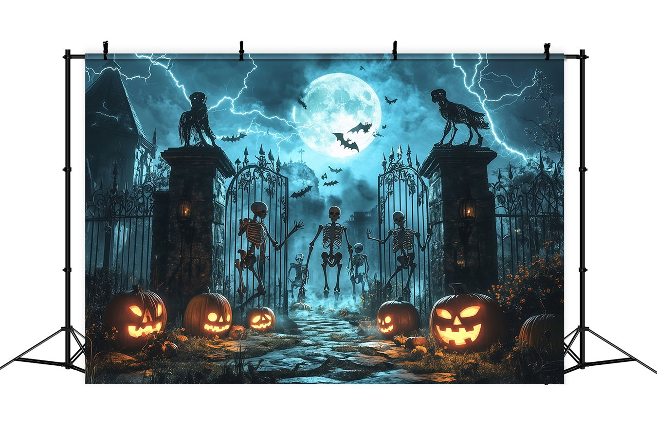 Fond Photo Halloween Squelettes Et Citrouilles Aux Portes Hantées TWW58-43