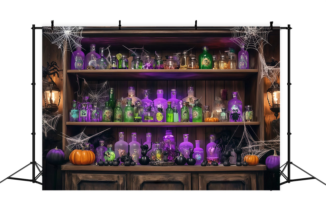 Fond De Photo Halloween Mur Bouteilles De Potions Et Toiles D’Araignées Étagère Bois TWW58-48