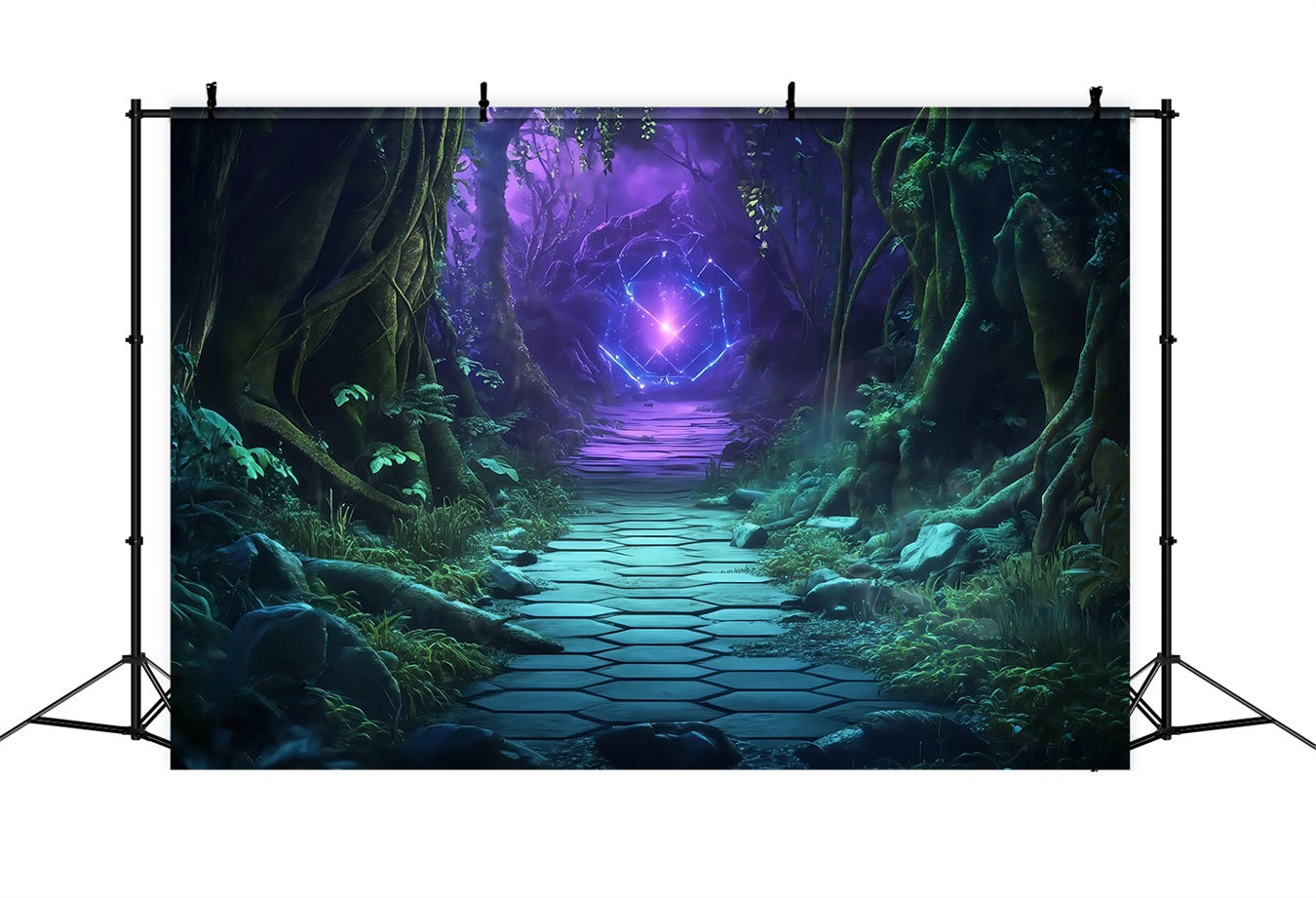 Fond Photo Halloween Sentier Forêt Mystique Avec Portail Lumineux TWW58-50