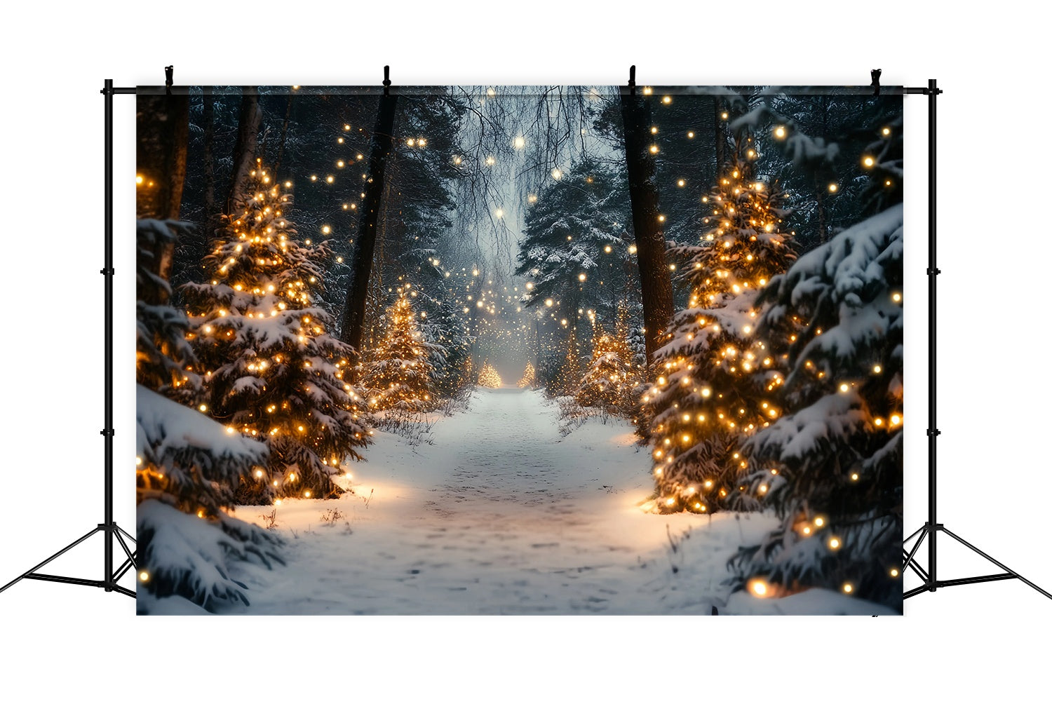 Toile de fond photo Noël Ferme de Sapins Sentier Enneigé Lumière Dorée TWW58-80