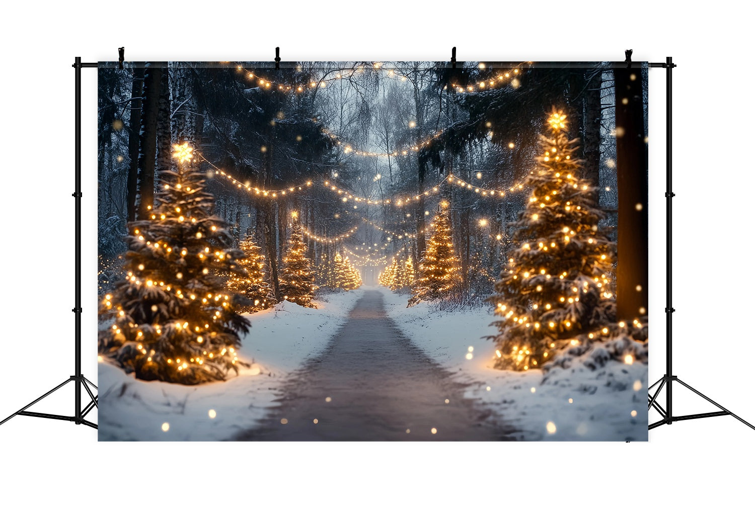 Toile de fond photo Noël Ferme de Sapins Sentier Enneigé Lumières Dorées TWW58-89