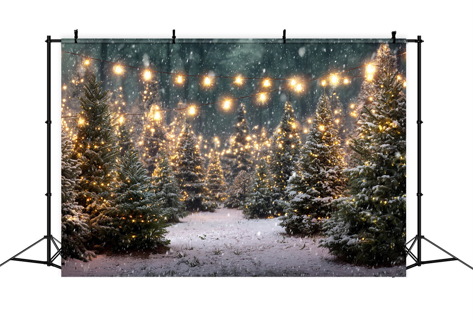 Toile de fond Noël Ferme Forêt Étincelante Sapin TWW59-116
