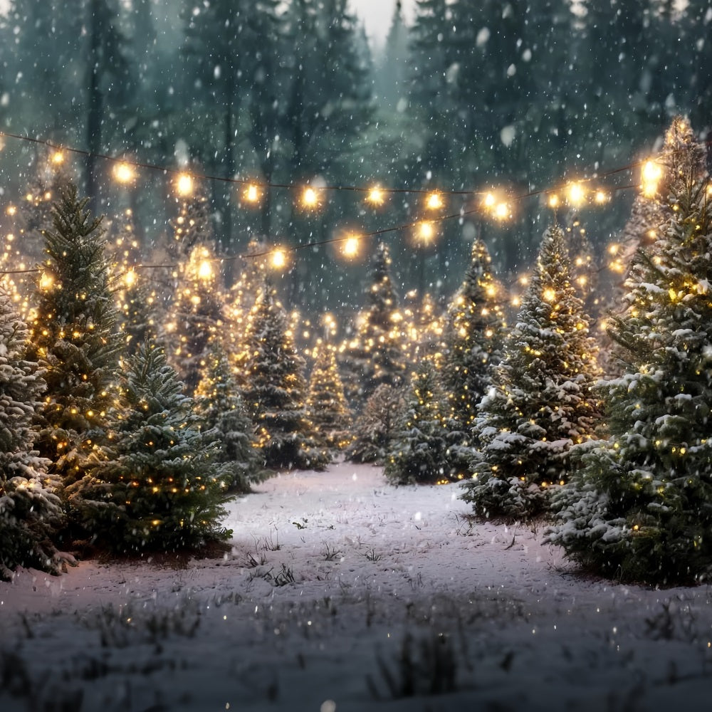 Toile de fond Noël Ferme Forêt Étincelante Sapin TWW59-116