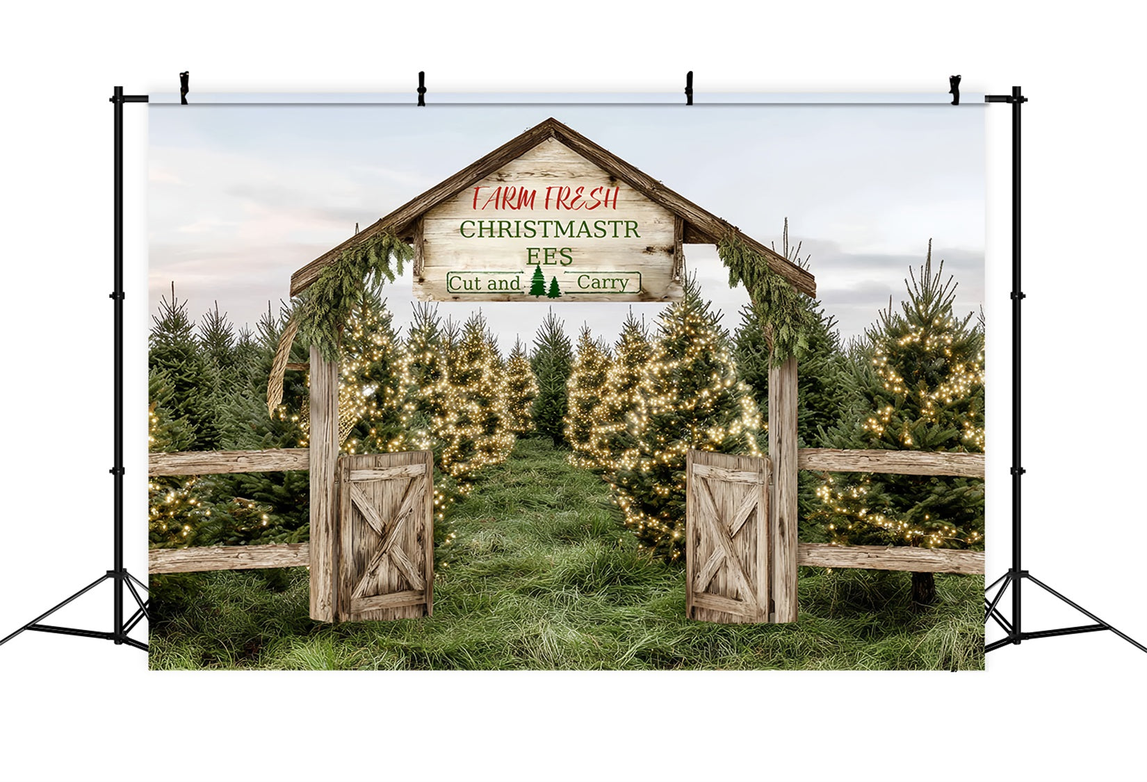 Toile de fond Noël Ferme Sentier Sapins Frais Professionnel TWW59-124