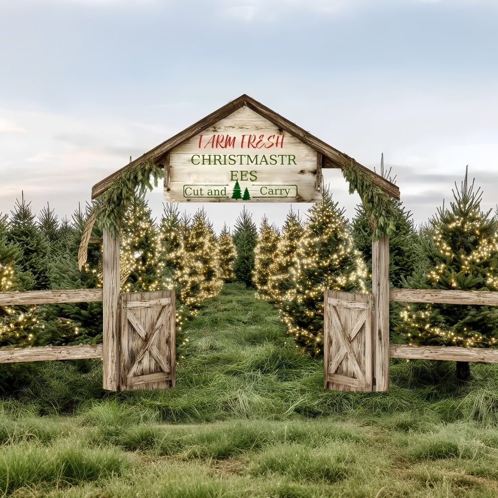 Toile de fond Noël Ferme Sentier Sapins Frais Professionnel TWW59-124
