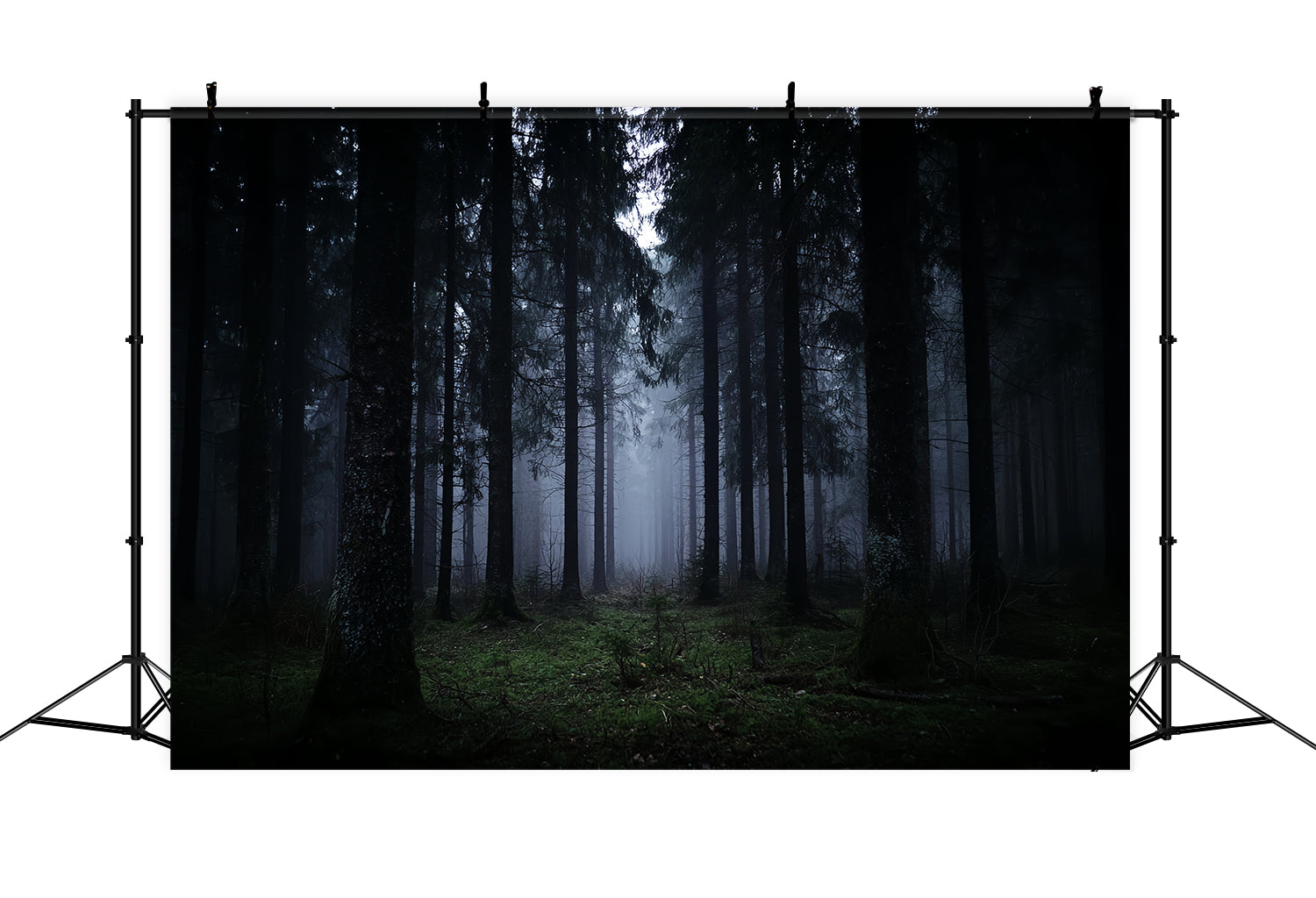 Toile de fond Forêt Sombre Brumeuse Pins Obscurs Forêt Noire TWW59-132