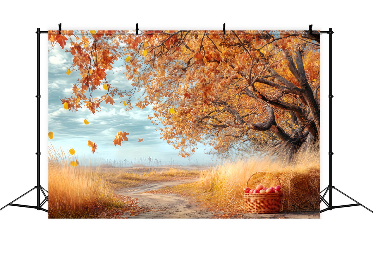 Toile de fond Forêt Automnale Verger Rustique Sentier TWW59-150
